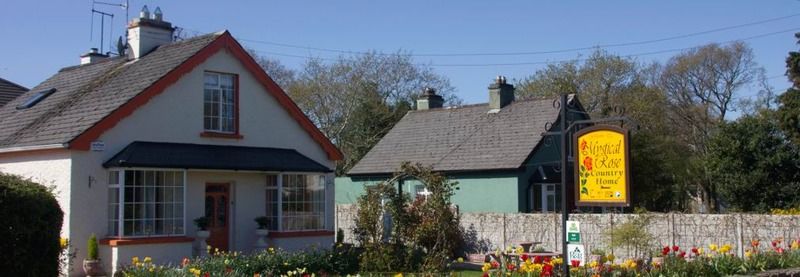 Mystical Rose Hotel Killarney Exterior foto